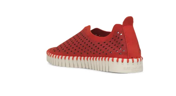 Ilse Jacobsen Tulips Flats - DEEP RED
