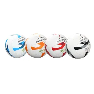 Murphys Gaelic Footballs