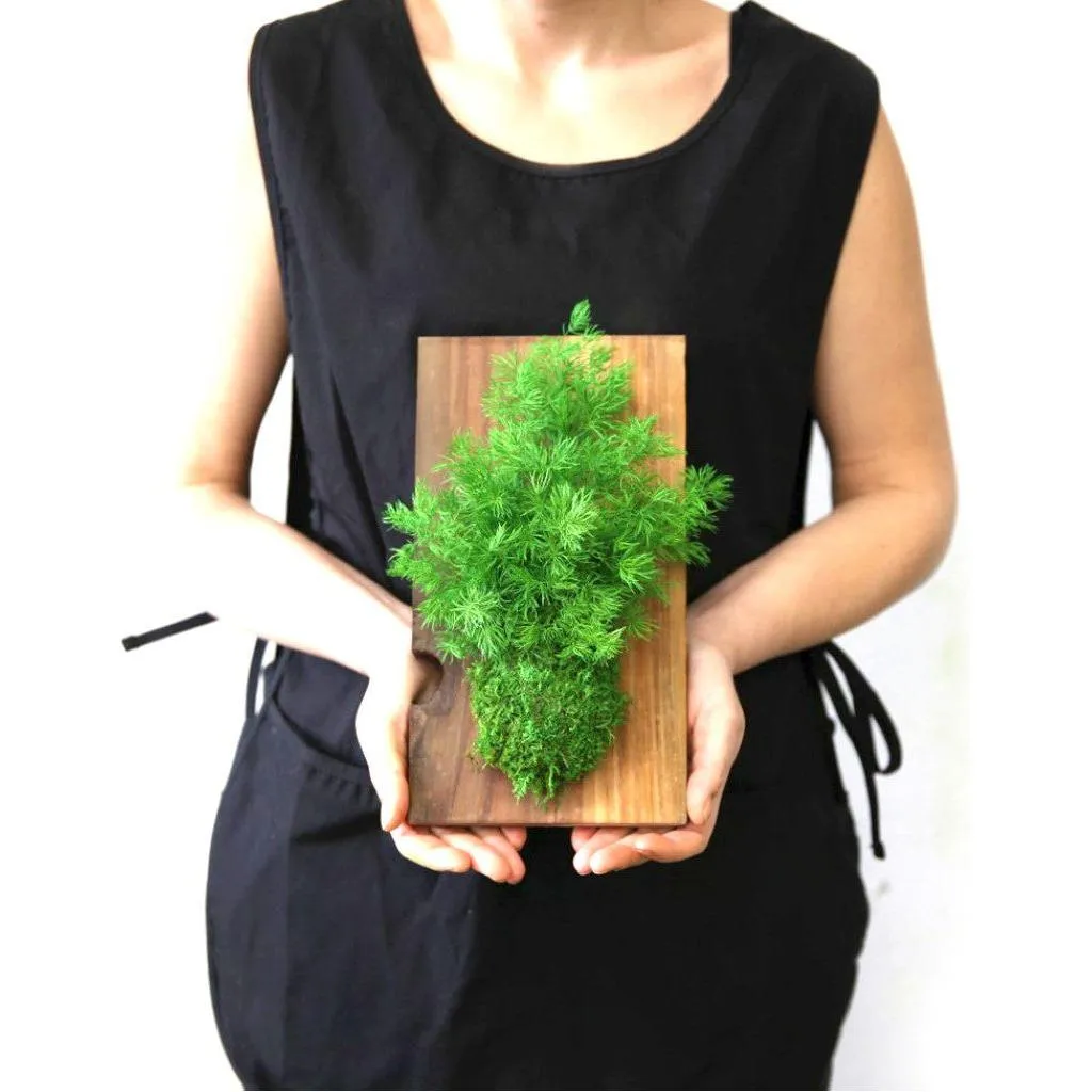 Set of 3 Fern & Moss Reclaimed Wood Flats