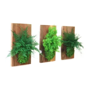 Set of 3 Fern & Moss Reclaimed Wood Flats