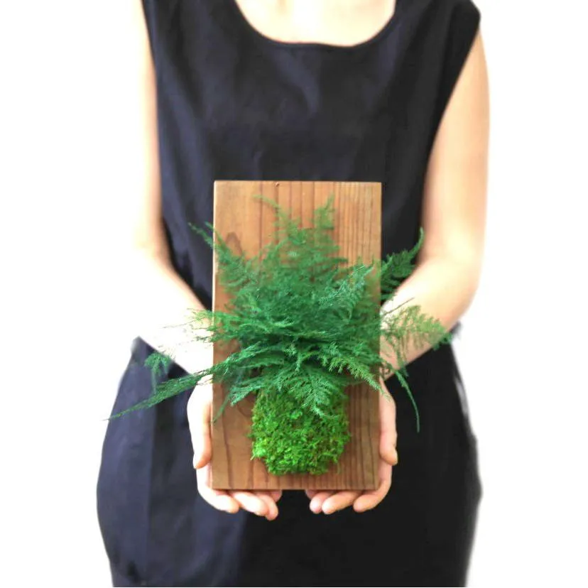 Set of 3 Fern & Moss Reclaimed Wood Flats